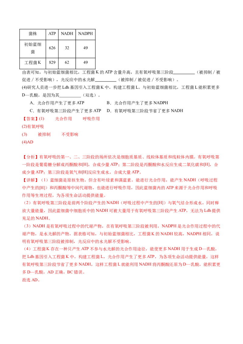 第08讲酶和ATP（第二课时）（练习）（解析版）_新高考复习资料_2025年新高考资料_2025年高考生物一轮复习讲练测（新教材新高考）