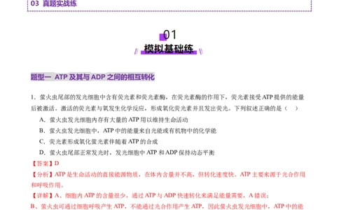 第08讲酶和ATP（第二课时）（练习）（解析版）_2025年新高考资料_一轮复习_2025年高考生物一轮复习讲练测（新教材新高考）