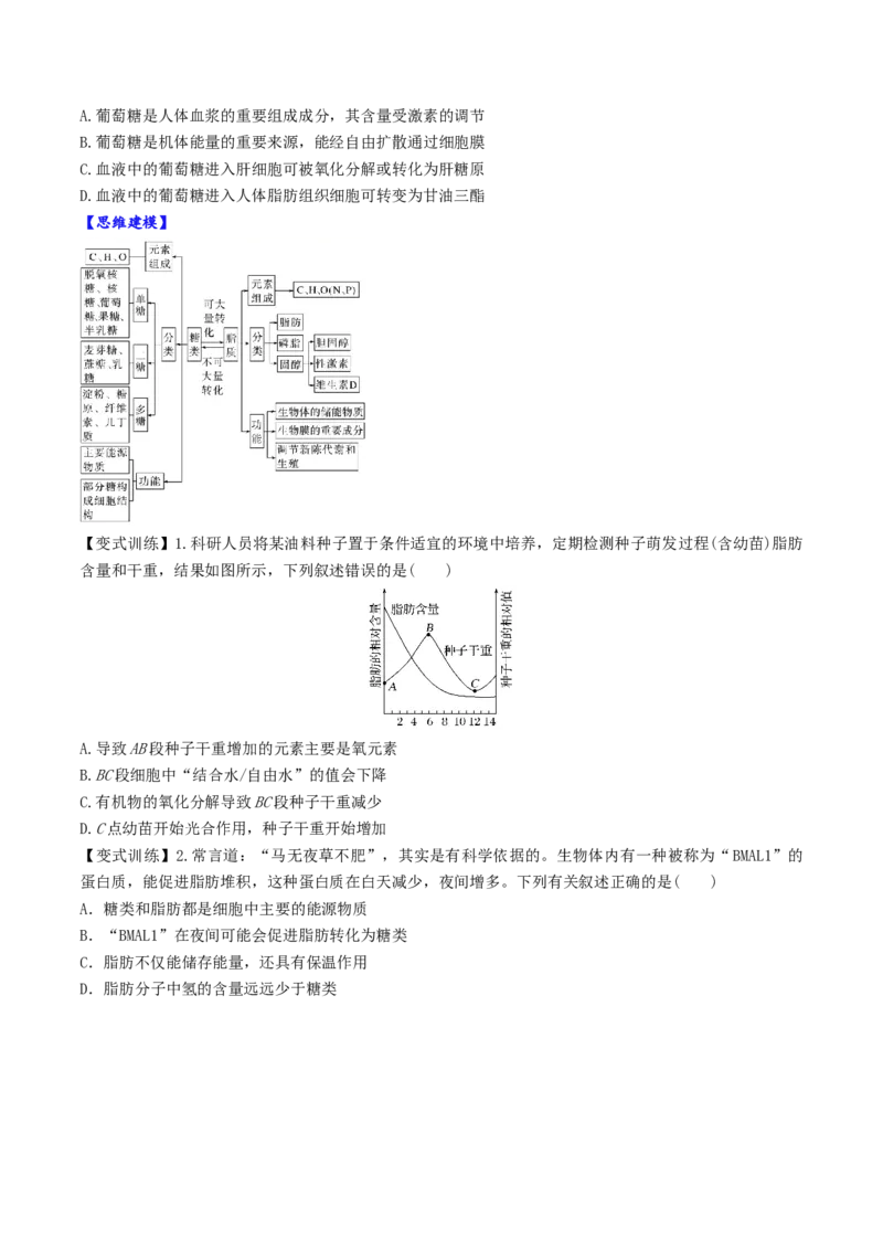 第03讲糖类和脂质（讲义）（原卷版）_2025年新高考资料_一轮复习_2025年高考生物一轮复习讲练测（新教材新高考）