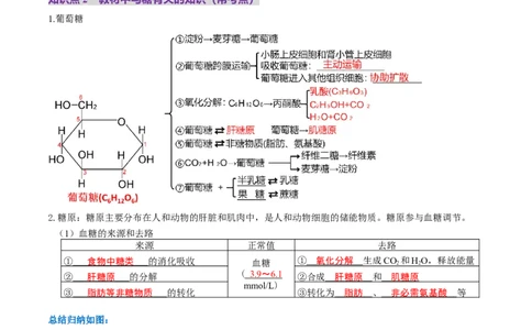 第03讲糖类和脂质（讲义）（原卷版）_2025年新高考资料_一轮复习_2025年高考生物一轮复习讲练测（新教材新高考）