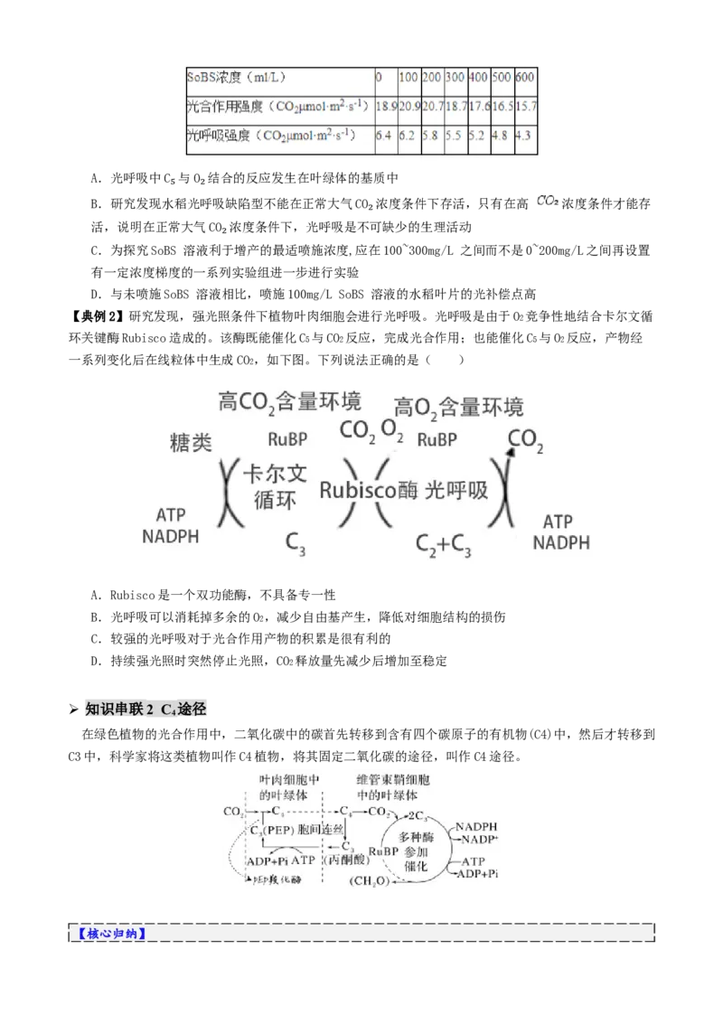 第04讲细胞呼吸和光合作用（讲义）（原卷版）_2025年新高考资料_二轮复习_上好课2025年高考生物二轮复习讲练测（新高考通用）3380526