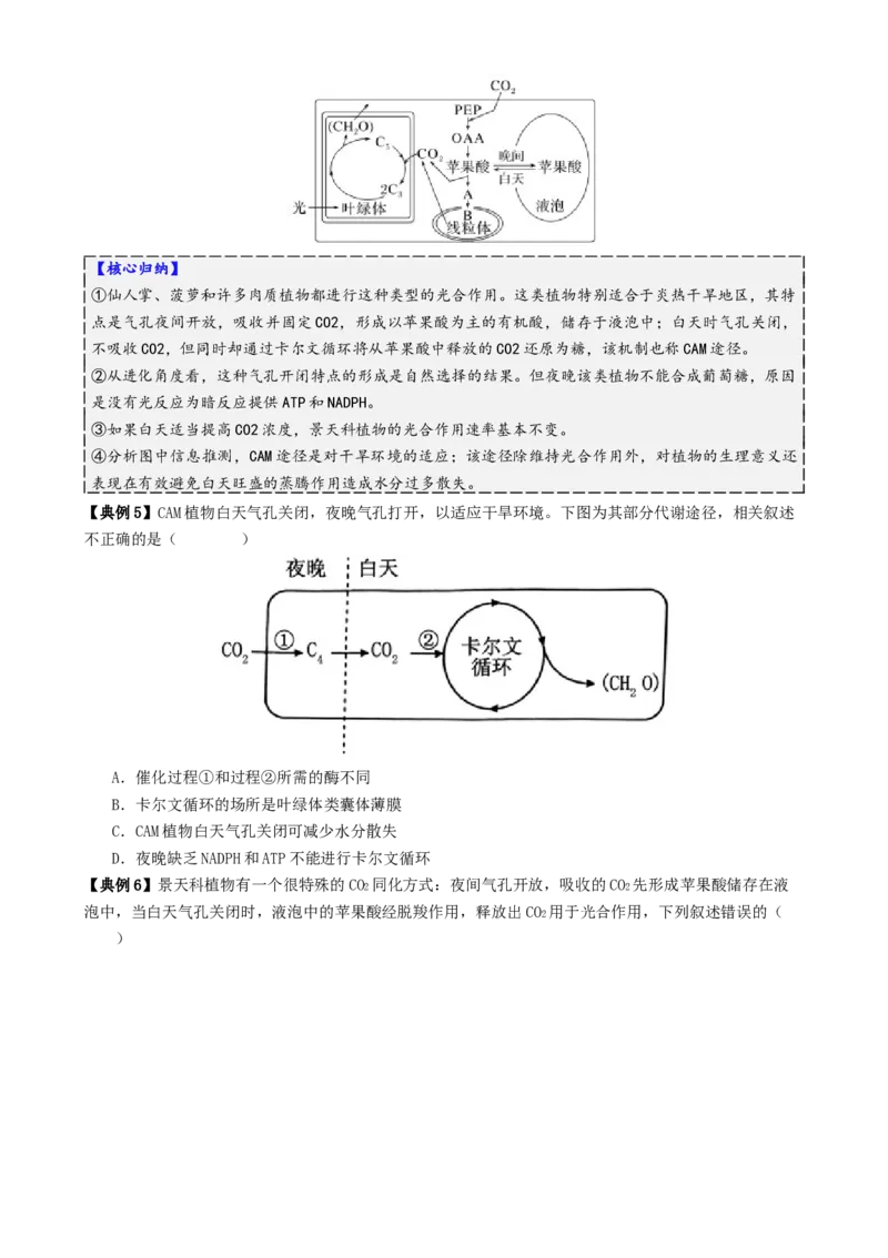第04讲细胞呼吸和光合作用（讲义）（原卷版）_2025年新高考资料_二轮复习_上好课2025年高考生物二轮复习讲练测（新高考通用）3380526