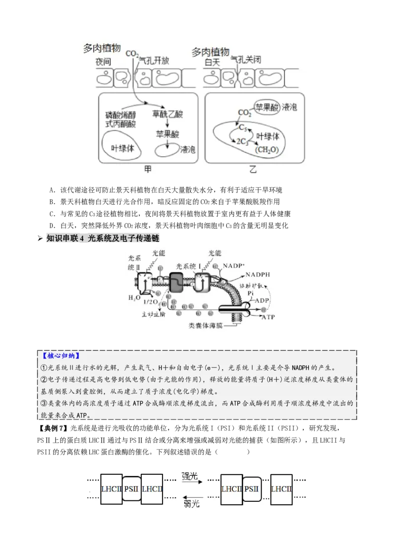 第04讲细胞呼吸和光合作用（讲义）（原卷版）_2025年新高考资料_二轮复习_上好课2025年高考生物二轮复习讲练测（新高考通用）3380526