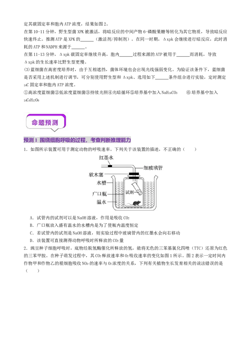 第04讲细胞呼吸和光合作用（讲义）（原卷版）_2025年新高考资料_二轮复习_上好课2025年高考生物二轮复习讲练测（新高考通用）3380526