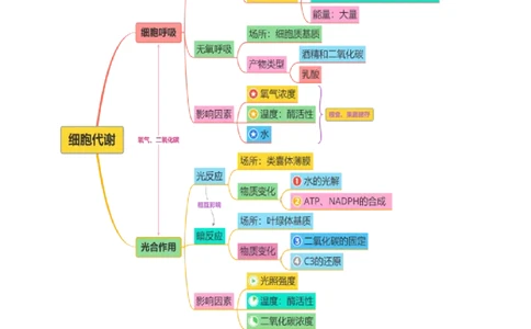 第04讲细胞呼吸和光合作用（讲义）（原卷版）_2025年新高考资料_二轮复习_上好课2025年高考生物二轮复习讲练测（新高考通用）3380526