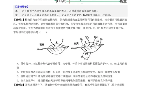 第04讲细胞呼吸和光合作用（讲义）（原卷版）_2025年新高考资料_二轮复习_上好课2025年高考生物二轮复习讲练测（新高考通用）3380526