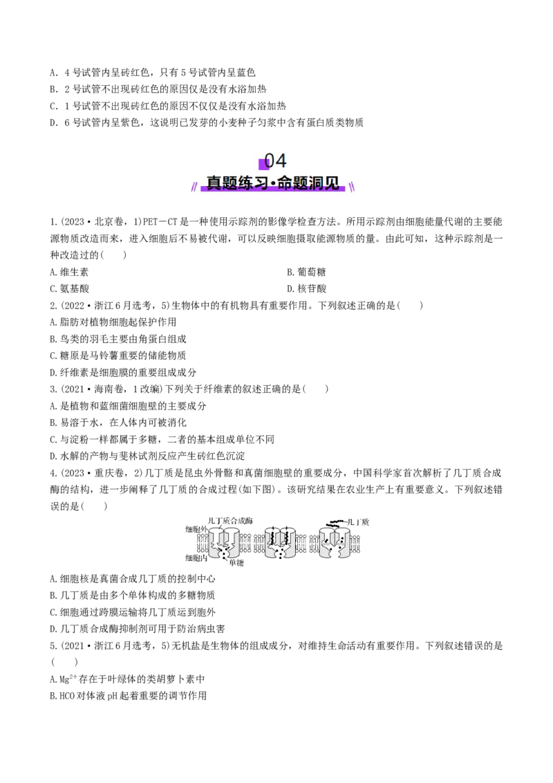 第02讲细胞中的元素和化合物（讲义）（原卷版）_2025年新高考资料_一轮复习_2025年高考生物一轮复习讲练测（新教材新高考）
