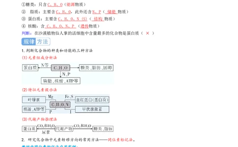 第02讲细胞中的元素和化合物（讲义）（原卷版）_2025年新高考资料_一轮复习_2025年高考生物一轮复习讲练测（新教材新高考）