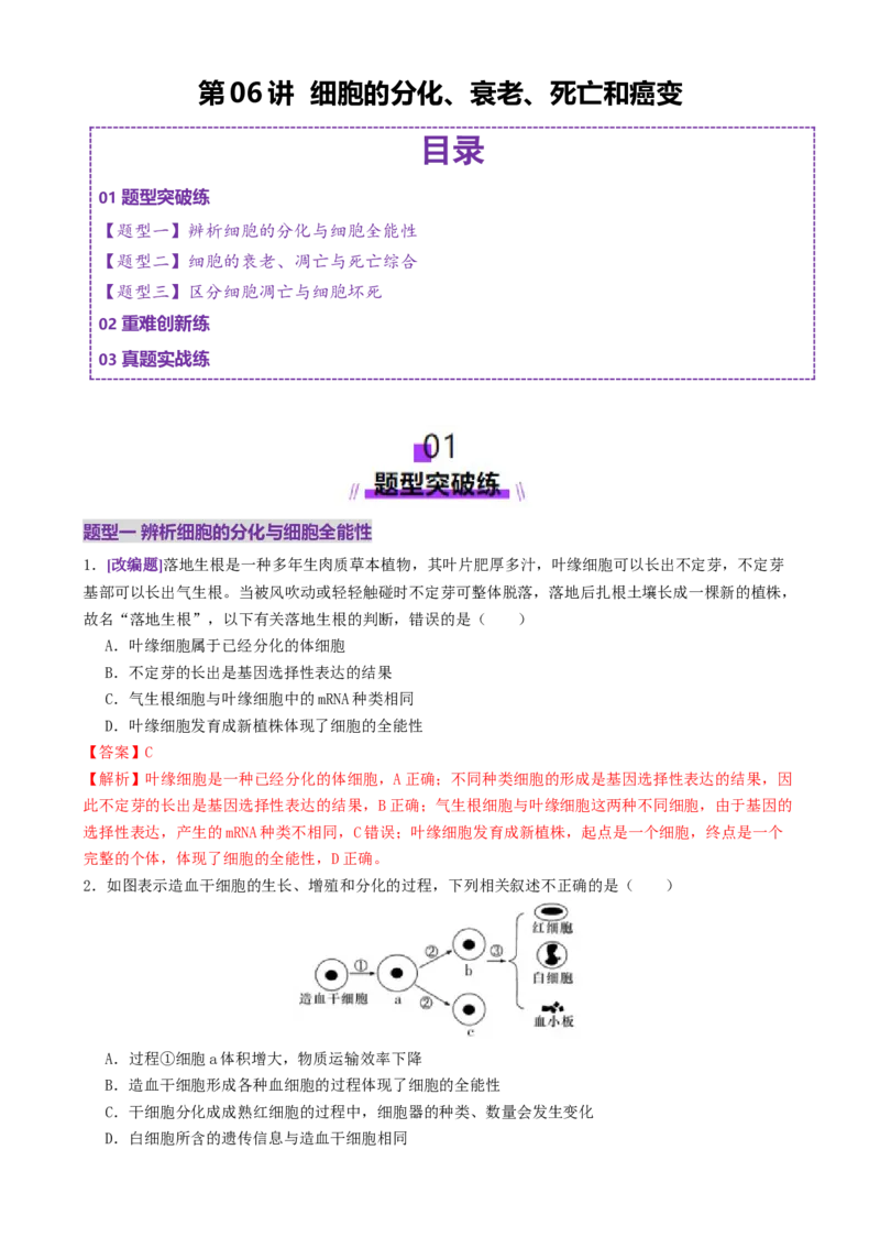 第06讲细胞的分化、衰老、死亡和癌变（专项训练，3大题型）（解析版）_2025年新高考资料_二轮复习_01高考语文等多个文件_上好课2025年高考生物二轮复习讲练测（新高考通用）