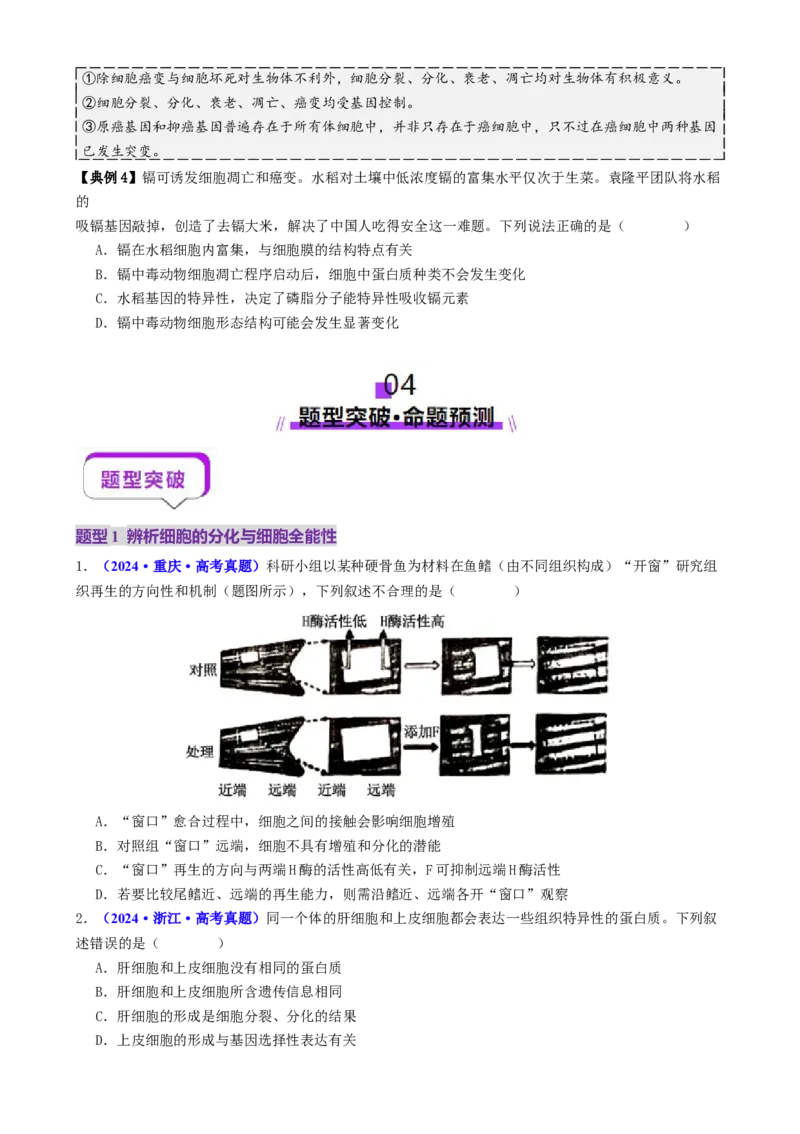 第06讲细胞的分化、衰老、死亡和癌变（讲义）（原卷版）_2025年新高考资料_二轮复习_上好课2025年高考生物二轮复习讲练测（新高考通用）3380526