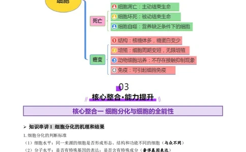 第06讲细胞的分化、衰老、死亡和癌变（讲义）（原卷版）_2025年新高考资料_二轮复习_上好课2025年高考生物二轮复习讲练测（新高考通用）3380526