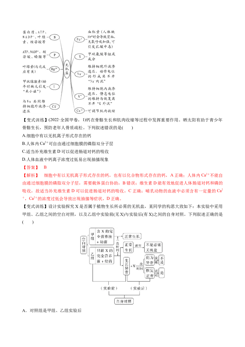 第02讲细胞中的元素和化合物（讲义）（解析版）_新高考复习资料_2025年新高考资料_2025年高考生物一轮复习讲练测（新教材新高考）