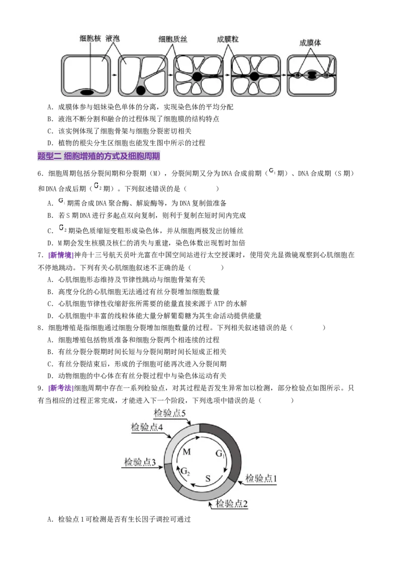 第05讲细胞的增殖和减数分裂（专项训练，4大题型）（原卷版）_2025年新高考资料_二轮复习_01高考语文等多个文件_上好课2025年高考生物二轮复习讲练测（新高考通用）