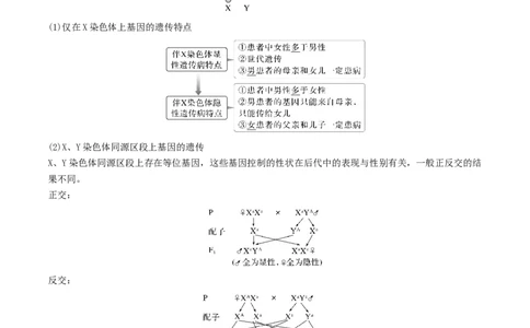 第08讲伴性遗传和人类遗传病（讲义）（解析版）_2025年新高考资料_二轮复习_上好课2025年高考生物二轮复习讲练测（新高考通用）3380526