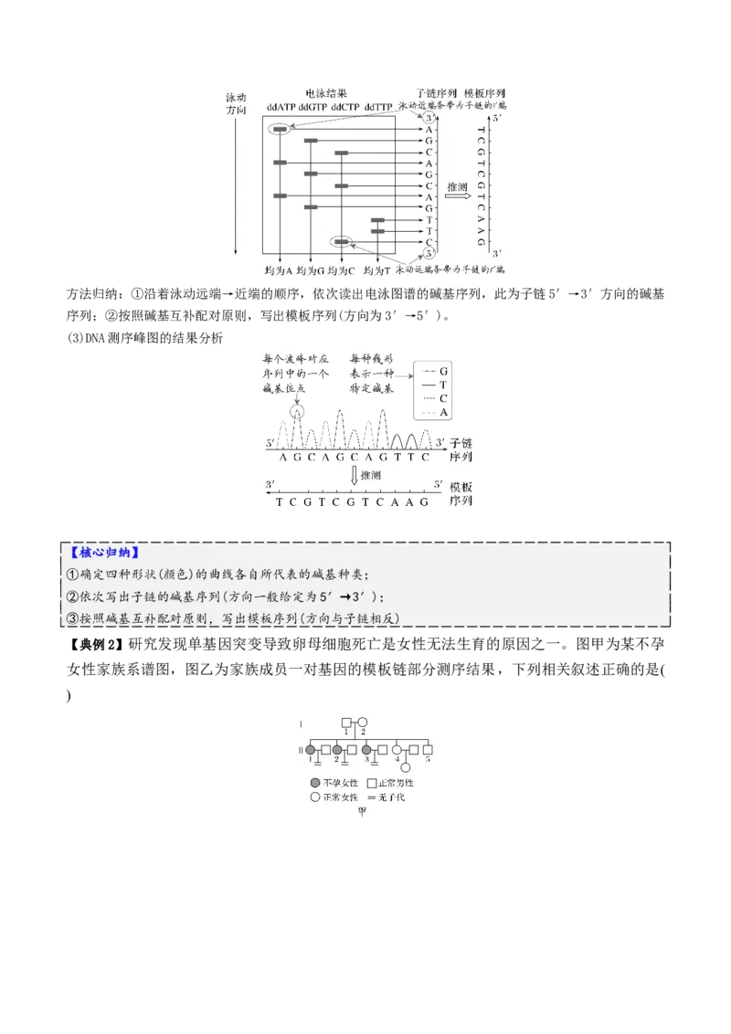 第08讲伴性遗传和人类遗传病（讲义）（解析版）_2025年新高考资料_二轮复习_上好课2025年高考生物二轮复习讲练测（新高考通用）3380526