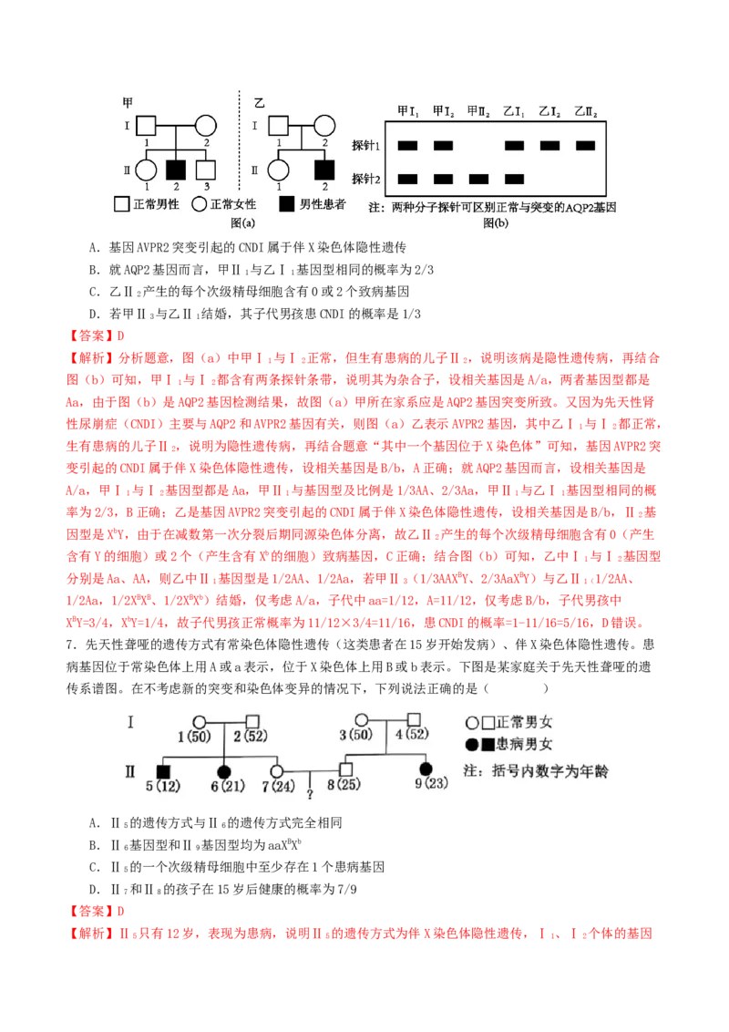 第08讲伴性遗传和人类遗传病（讲义）（解析版）_2025年新高考资料_二轮复习_上好课2025年高考生物二轮复习讲练测（新高考通用）3380526