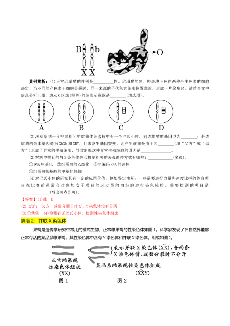 第08讲伴性遗传和人类遗传病（讲义）（解析版）_2025年新高考资料_二轮复习_上好课2025年高考生物二轮复习讲练测（新高考通用）3380526