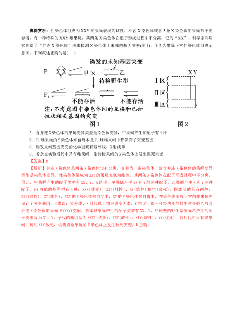 第08讲伴性遗传和人类遗传病（讲义）（解析版）_2025年新高考资料_二轮复习_上好课2025年高考生物二轮复习讲练测（新高考通用）3380526