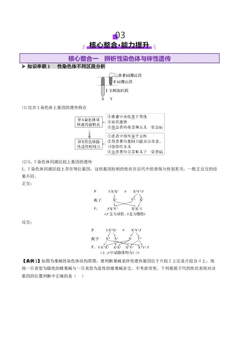 第08讲伴性遗传和人类遗传病（讲义）（解析版）_2025年新高考资料_二轮复习_上好课2025年高考生物二轮复习讲练测（新高考通用）3380526