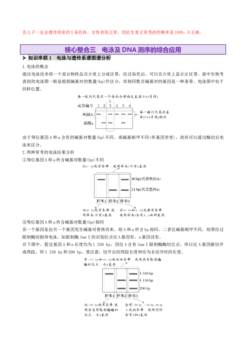 第08讲伴性遗传和人类遗传病（讲义）（解析版）_2025年新高考资料_二轮复习_上好课2025年高考生物二轮复习讲练测（新高考通用）3380526
