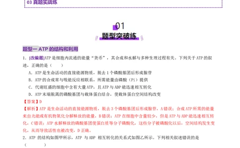 第03讲ATP和酶（练习）（解析版）_2025年新高考资料_二轮复习_上好课2025年高考生物二轮复习讲练测（新高考通用）3380526