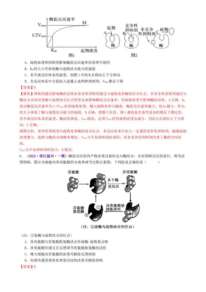 第03讲ATP和酶（练习）（解析版）_2025年新高考资料_二轮复习_上好课2025年高考生物二轮复习讲练测（新高考通用）3380526
