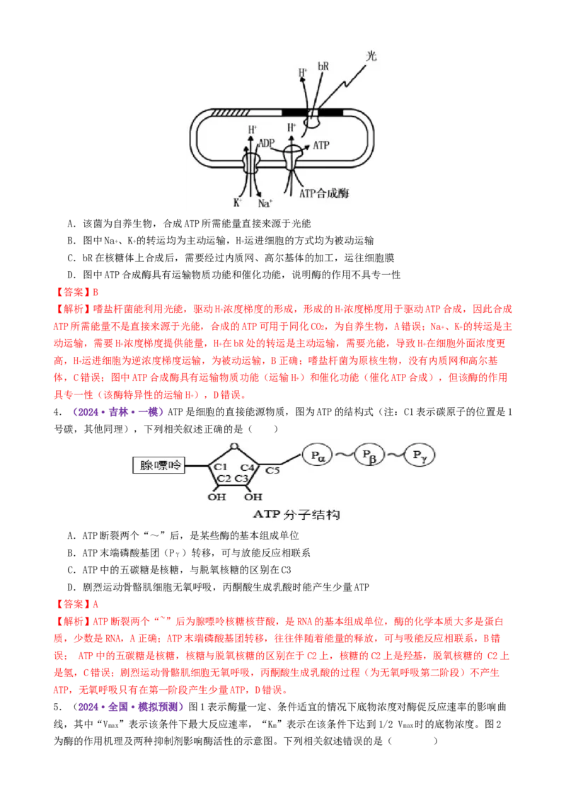 第03讲ATP和酶（练习）（解析版）_2025年新高考资料_二轮复习_上好课2025年高考生物二轮复习讲练测（新高考通用）3380526