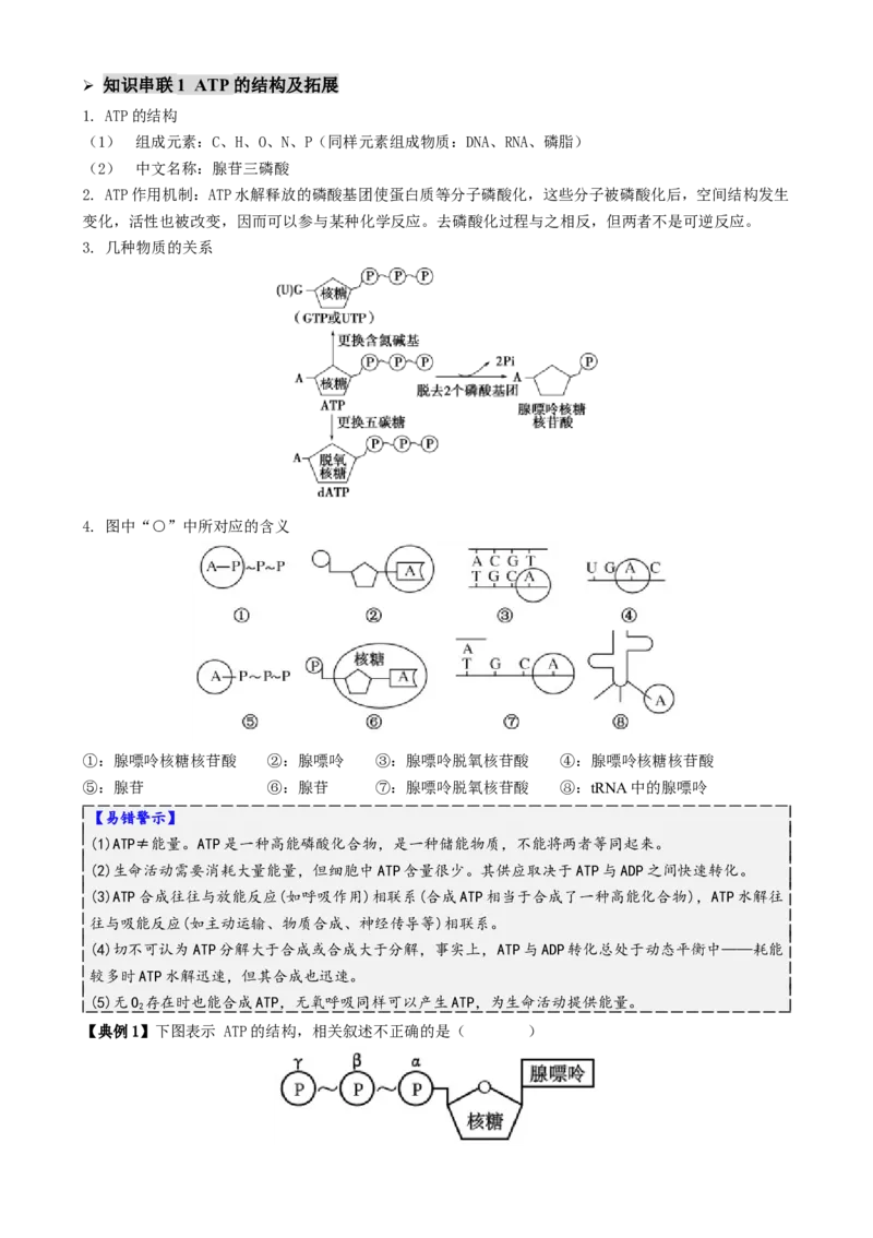 第03讲ATP和酶（讲义）（解析版）_2025年新高考资料_二轮复习_01高考语文等多个文件_上好课2025年高考生物二轮复习讲练测（新高考通用）
