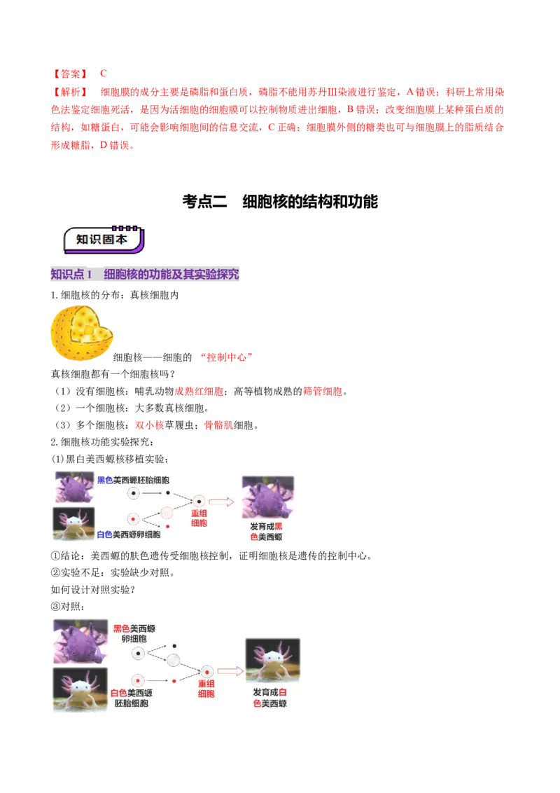 第05讲细胞膜和细胞核（讲义）（解析版）_新高考复习资料_2025年新高考资料_2025年高考生物一轮复习讲练测（新教材新高考）