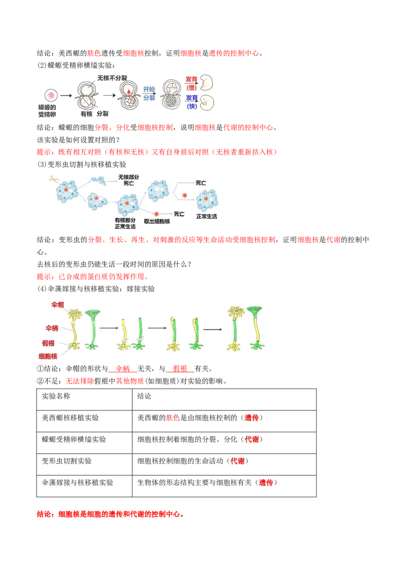 第05讲细胞膜和细胞核（讲义）（解析版）_新高考复习资料_2025年新高考资料_2025年高考生物一轮复习讲练测（新教材新高考）