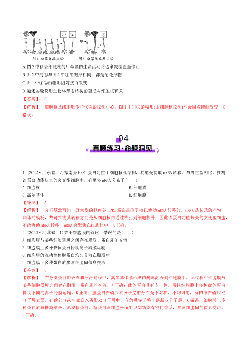 第05讲细胞膜和细胞核（讲义）（解析版）_新高考复习资料_2025年新高考资料_2025年高考生物一轮复习讲练测（新教材新高考）