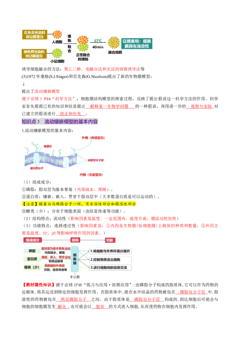 第05讲细胞膜和细胞核（讲义）（解析版）_新高考复习资料_2025年新高考资料_2025年高考生物一轮复习讲练测（新教材新高考）