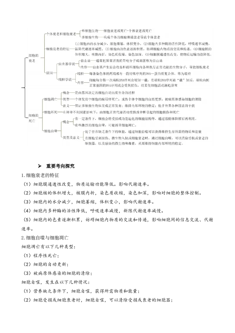 第06讲细胞的分化、衰老和死亡（讲义）解析版_新高考复习资料_2024年新高考复习资料_二轮复习资料_2024年高考生物二轮复习讲练测（新教材新高考）_配套讲义_教师版（含答案解析）