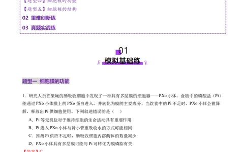 第05讲细胞膜和细胞核（练习）（解析版）_2025年新高考资料_一轮复习_2025年高考生物一轮复习讲练测（新教材新高考）