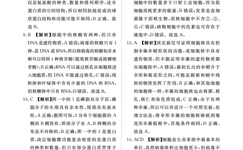 11月高一联考生物答案._2024年11月试卷_1122青桐鸣河南省普通高中2024-2025学年高一上学期期中_河南省普通高中2024-2025学年高一上学期11月期中考试生物试题