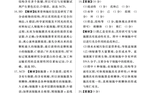 11月高一联考生物答案._2024年11月试卷_1122青桐鸣河南省普通高中2024-2025学年高一上学期期中_河南省普通高中2024-2025学年高一上学期11月期中考试生物试题