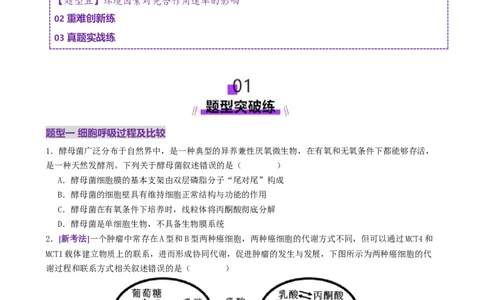 第04讲细胞呼吸和光合作用（专项训练）（原卷版）_2025年新高考资料_二轮复习_上好课2025年高考生物二轮复习讲练测（新高考通用）3380526