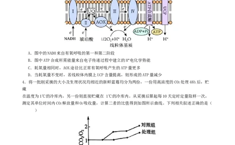 第04讲细胞呼吸和光合作用（专项训练）（原卷版）_2025年新高考资料_二轮复习_上好课2025年高考生物二轮复习讲练测（新高考通用）3380526
