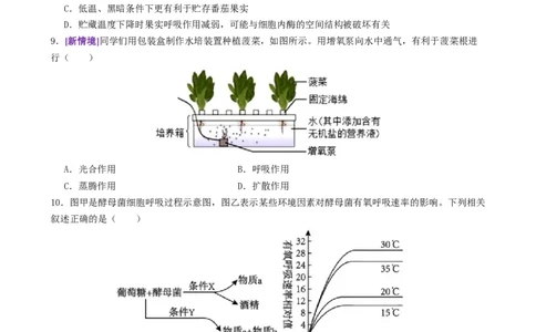 第04讲细胞呼吸和光合作用（专项训练）（原卷版）_2025年新高考资料_二轮复习_上好课2025年高考生物二轮复习讲练测（新高考通用）3380526