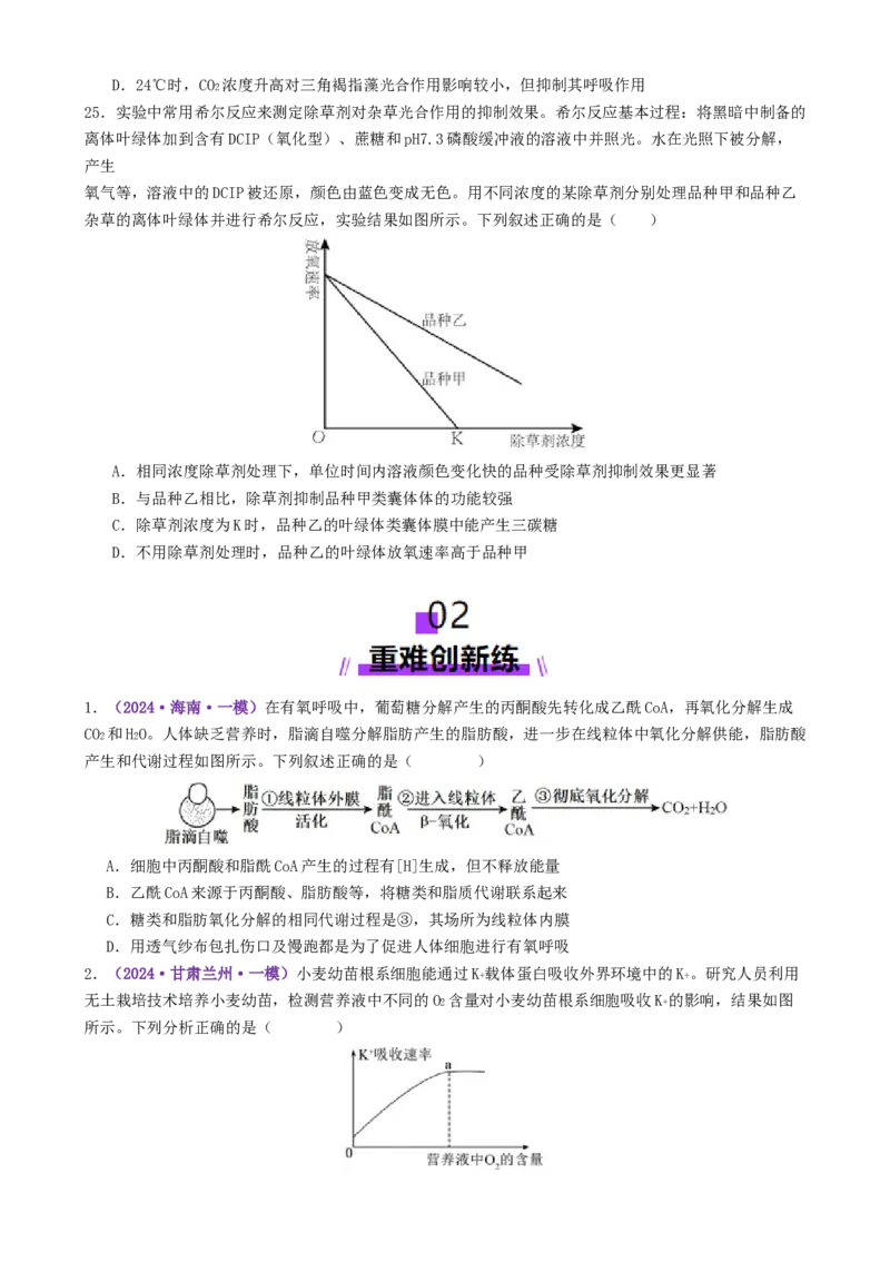 第04讲细胞呼吸和光合作用（专项训练）（原卷版）_2025年新高考资料_二轮复习_上好课2025年高考生物二轮复习讲练测（新高考通用）3380526