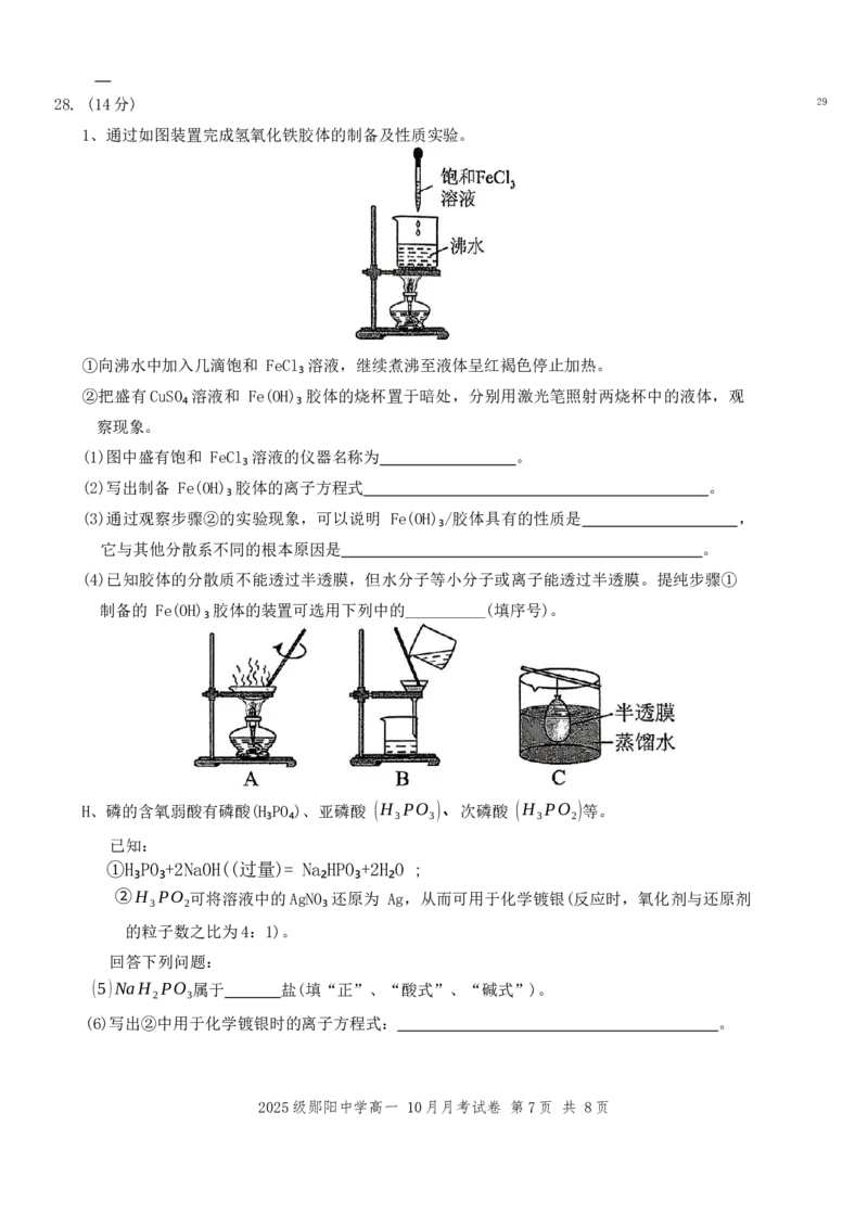 10月化学试卷_2025年11月高一试卷_251112湖北省十堰市郧阳中学2025-2026学年高一上学期期中考试（全）_湖北省十堰市郧阳中学2025-2026学年高一上学期10月期中化学试题Word版含答案