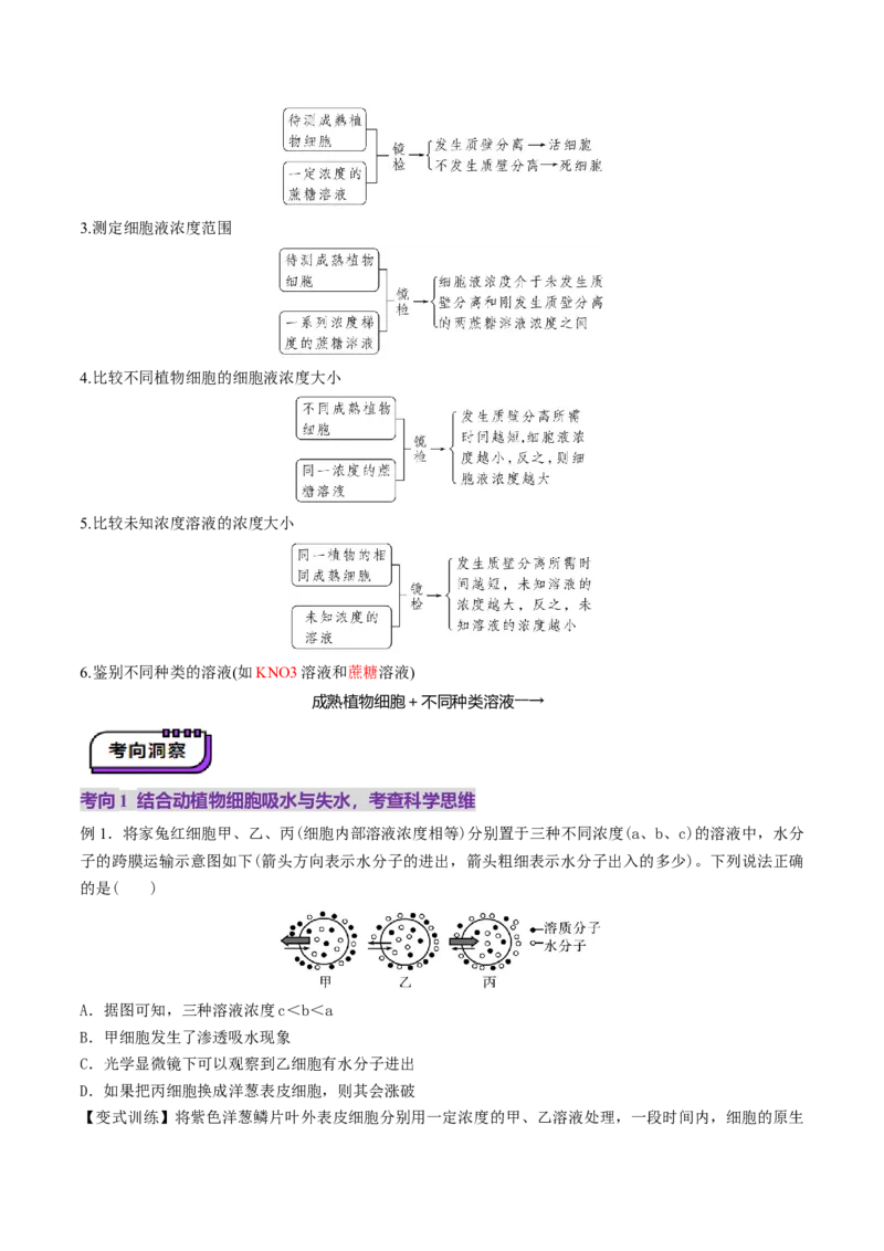 第07讲物质运输（讲义）（原卷版）_2025年新高考资料_一轮复习_2025年高考生物一轮复习讲练测（新教材新高考）