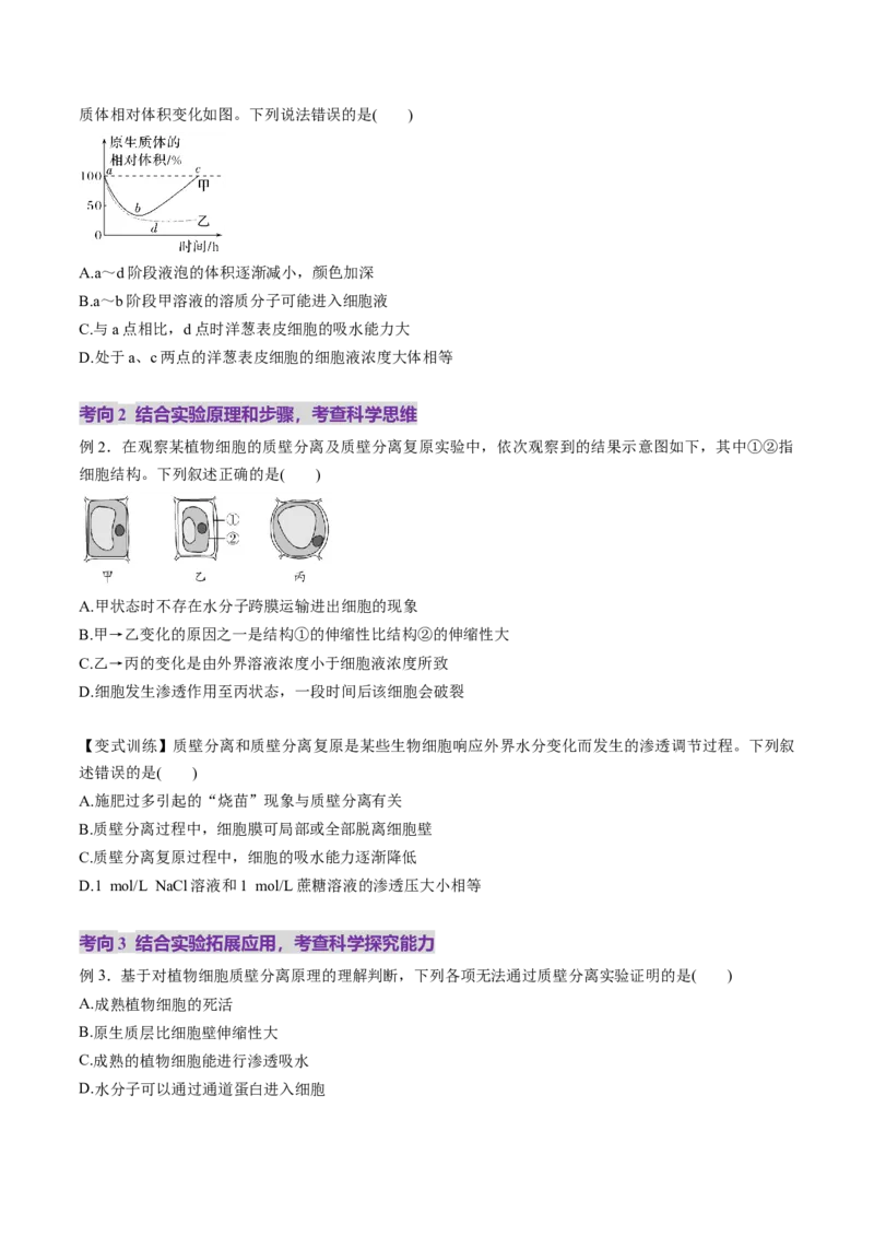 第07讲物质运输（讲义）（原卷版）_2025年新高考资料_一轮复习_2025年高考生物一轮复习讲练测（新教材新高考）