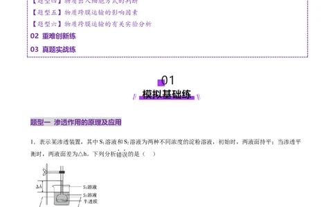 第07讲物质运输（练习）（解析版）_2025年新高考资料_一轮复习_2025年高考生物一轮复习讲练测（新教材新高考）