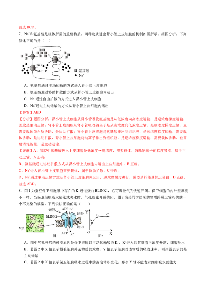 第07讲物质运输（练习）（解析版）_2025年新高考资料_一轮复习_2025年高考生物一轮复习讲练测（新教材新高考）