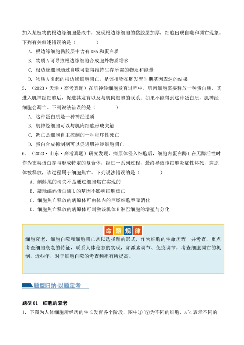 第06讲细胞的分化、衰老和死亡（讲义）原卷版_新高考复习资料_2024年新高考复习资料_二轮复习资料_2024年高考生物二轮复习讲练测（新教材新高考）_配套讲义