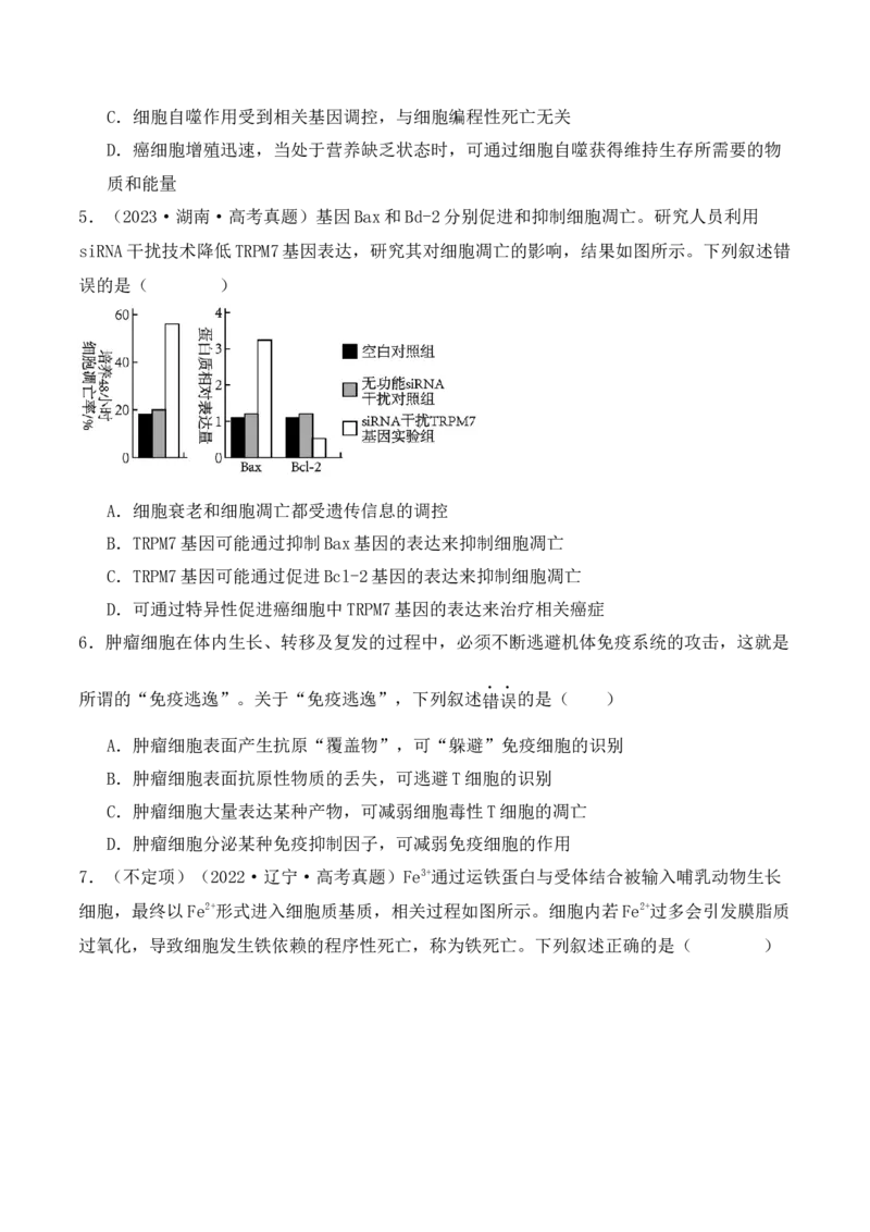 第06讲细胞的分化、衰老和死亡（讲义）原卷版_新高考复习资料_2024年新高考复习资料_二轮复习资料_2024年高考生物二轮复习讲练测（新教材新高考）_配套讲义