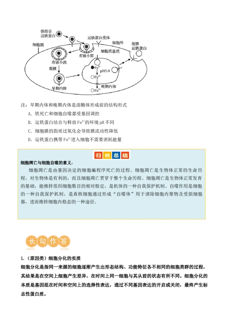 第06讲细胞的分化、衰老和死亡（讲义）原卷版_新高考复习资料_2024年新高考复习资料_二轮复习资料_2024年高考生物二轮复习讲练测（新教材新高考）_配套讲义