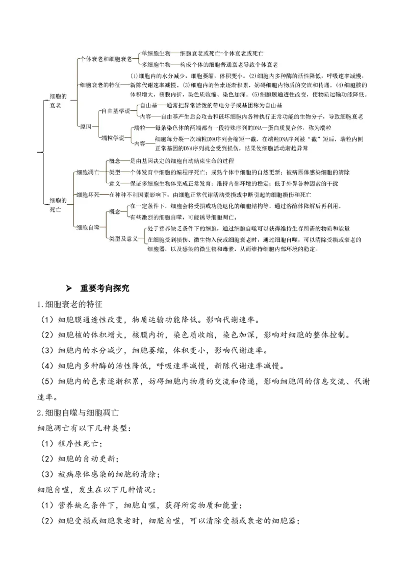 第06讲细胞的分化、衰老和死亡（讲义）原卷版_新高考复习资料_2024年新高考复习资料_二轮复习资料_2024年高考生物二轮复习讲练测（新教材新高考）_配套讲义