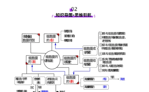 第05讲细胞膜和细胞核（讲义）（解析版）_2025年新高考资料_一轮复习_2025年高考生物一轮复习讲练测（新教材新高考）